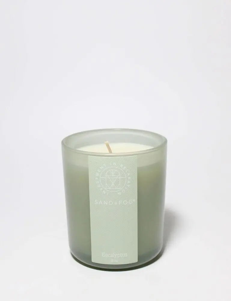 Eucalyptus 10 Oz Scented Candle - Image 3